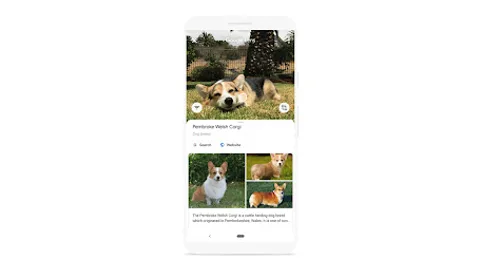 Google Lens (Socratic) Preview