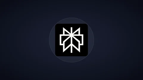 Perplexity AI Preview